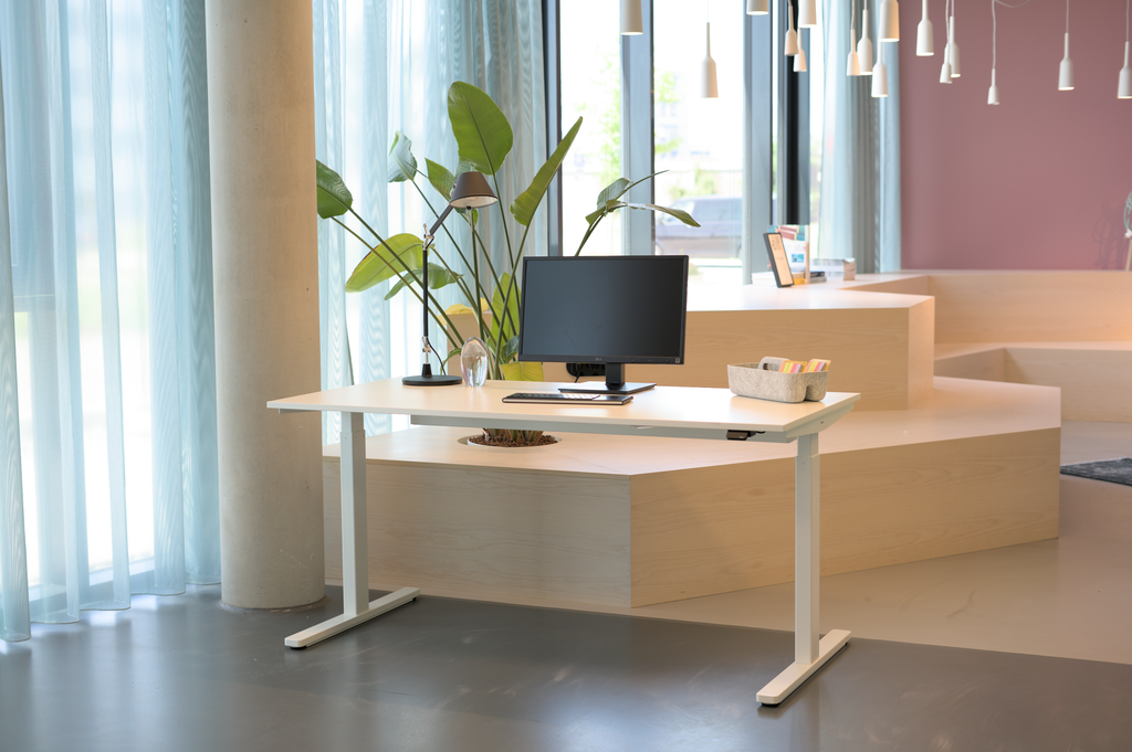 Workstatt Büroraum mit Bene Level Lift Schreibtisch und Artemide Tolomeo Lampe