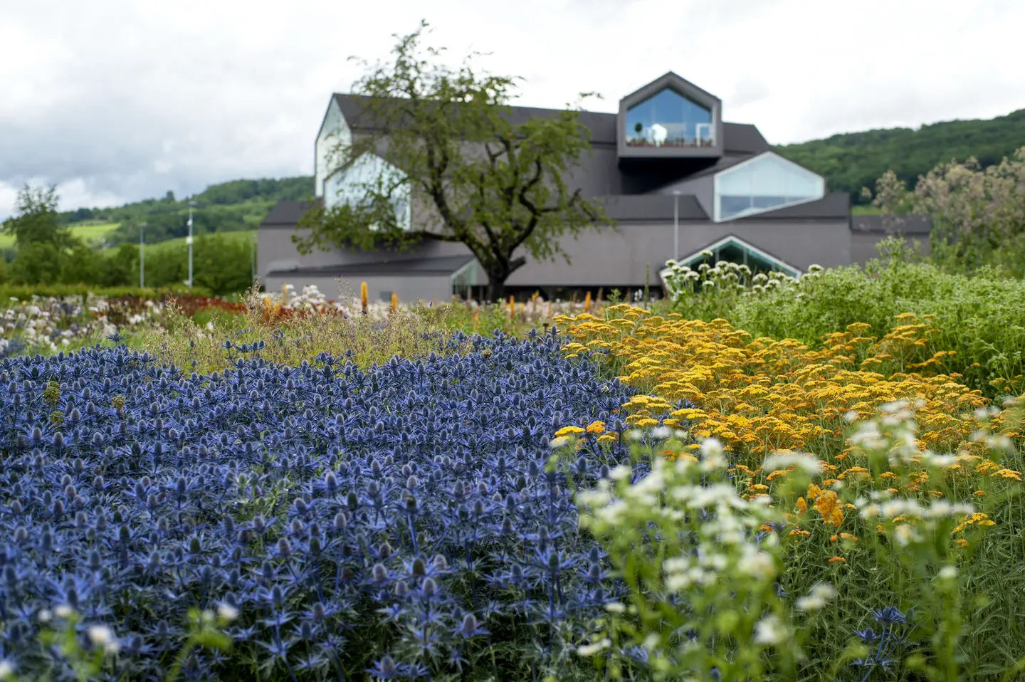 Vitra Campus Haus