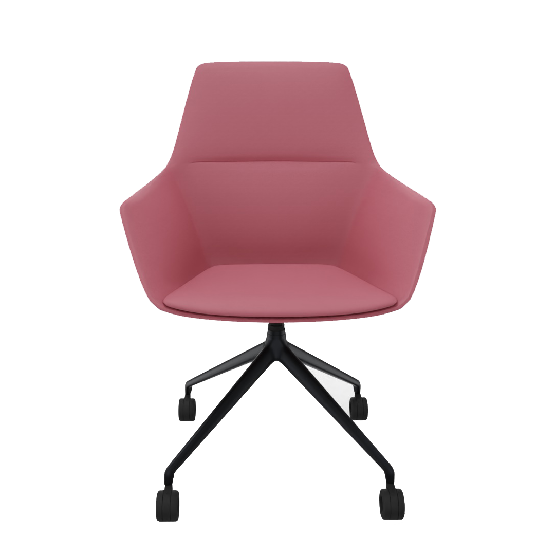 Brunner Ray Soft Mod. 9628/A Farbe 643 Polstersessel von vorne